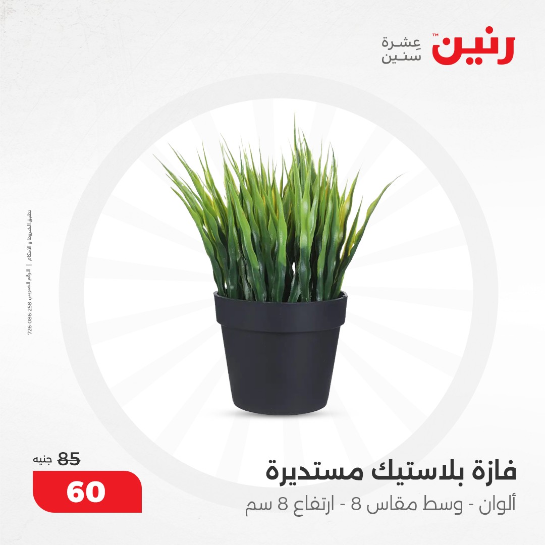 raneen offers from 12dec to 14dec 2024 عروض رنين من 12 ديسمبر حتى 14 ديسمبر 2024 صفحة رقم 74